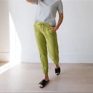 Albion Fit Jetsetters Joggers in Snap Pea XL